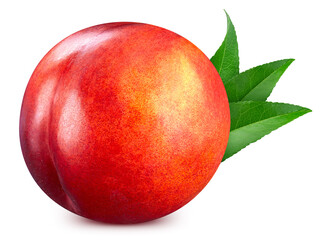 Peach isolated on white background