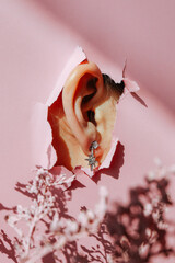 Female ear close-up on a pink background with flowers. Copy space. Torn paper background. The...