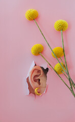 Female ear close-up on a pink background with flowers. Copy space. Torn paper background. The...