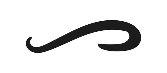 Swoosh and swoops underline typography tail shape. Brush drawn thick curved smear. Hand drawn curly swish, swash, squiggle, twiddle. Vector calligraphy doodle swirl. Vector Underlined icon.