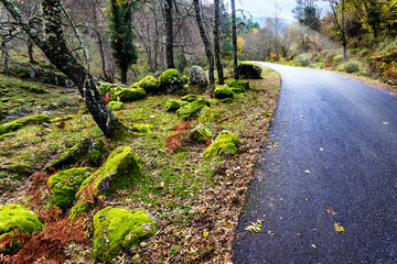 Carretera en el Valle de Iruelas.