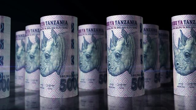 Tanzania money Tanzanian shilling money rolls loop 3d. Camera moving in front of the TZS rolling banknotes. Seamless loopable concept of economy, finance, business and debt.