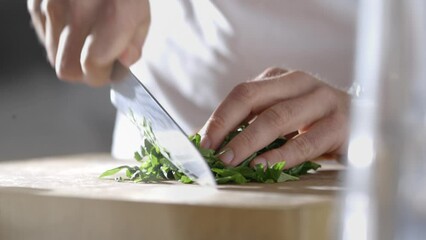 Food Clips - Powered by Adobe