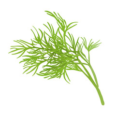Green bunch of dill.Useful natural healthy food and diet.Illustration Cartoon Design On White Background.