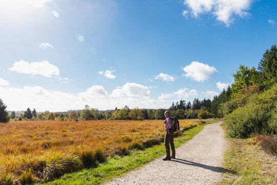 Belgium, Liege Province, Senior hiker admiring surrounding landscape along trail in High Fens - Eifel Nature Park