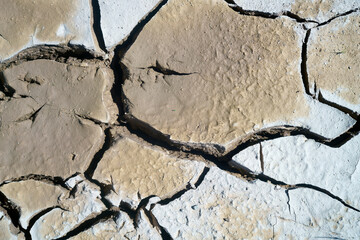 crack soil