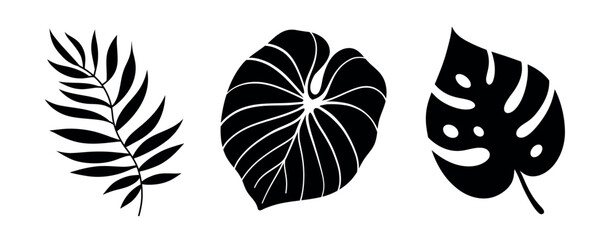 Vector set of black tropical leaves. Palm tree and monstera.
