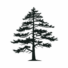 christmas tree isolated on white