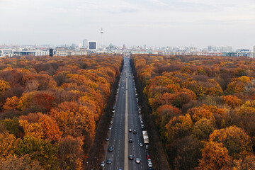 Germany, Berlin, Highway surrounded by autumn park trees seen from Victory Column