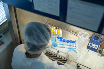 woman working with the lab samples in a laboratory