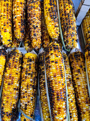 Close up view of grilled corns - 685655545