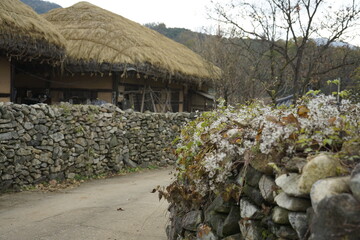 아산 전통 외암민속마을 풍경입니다