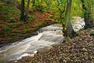 Waterfall in Spate at Holywell Dene, which is an ancient woodland ravine and is the valley of Seaton Burn in North Tyneside, popular with walkers