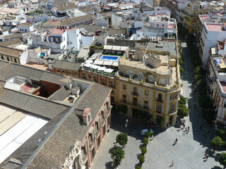 Fototapeta premium Seville (Spain). Plaza Virgen de los Reyes in the historic center of the city of Seville.