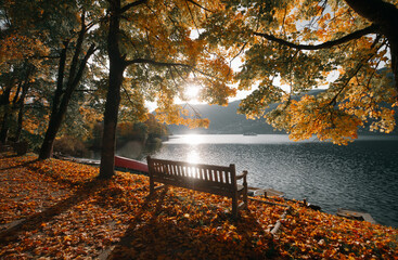 Beautiful fall scenery in Zell am See, Austria with bench, golden foliage and ship on a lake,...