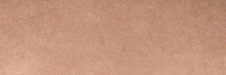 Blank brown paper textured wallpaper background