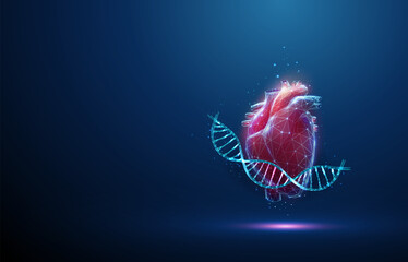 Blue DNA molecule helix with red human heart. Hereditary heart diseases, diagnosis of genetic diseases concept. Low poly - obrazy, fototapety, plakaty