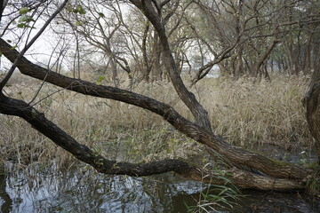 아산 산정호수 겨울 풍경입니다