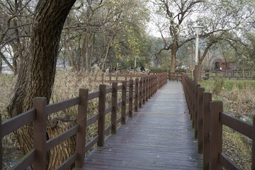 Fototapeta premium 아산 산정호수 겨울 풍경입니다