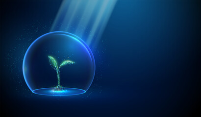 Abstract green growing plant inside glass dome and sun beams. Nature protection and smart farming concept Low poly style