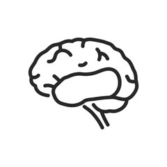 Temporal Lobe Brain Icon. Thin Linear Illustration for Neuroscience, Cognitive Functions, and Auditory Processing Education. Isolated Outline Vector Sign.