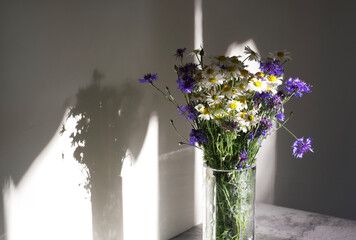 bouquet of wild summer flowers. cornflowers and daisies in a vase. white and purple flowers