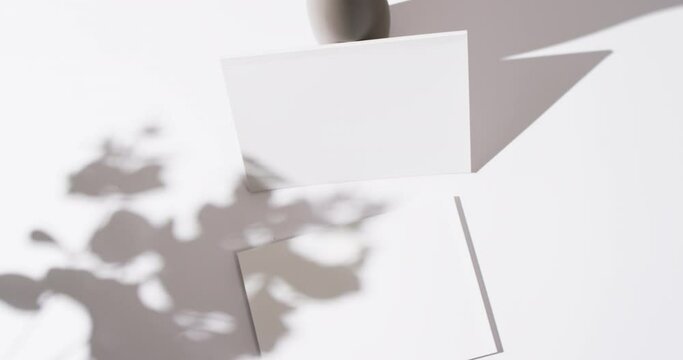 Video of shadow of plant over books with blank white pages and copy space on white background
