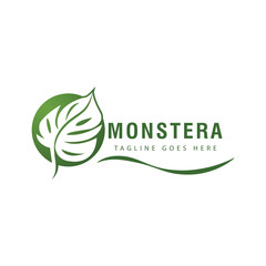Monstera logo vector template symbol design © evandri237@gmail