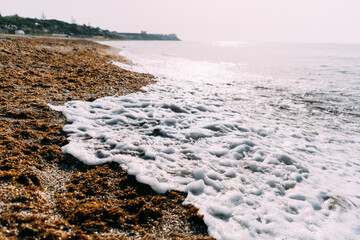 Seashore, dusty waves, foam