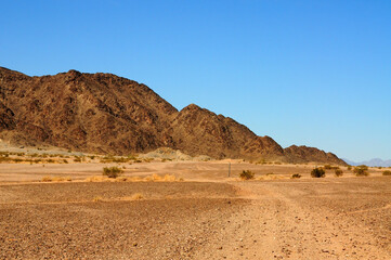 Fototapeta na wymiar Sonora Desert Arizona