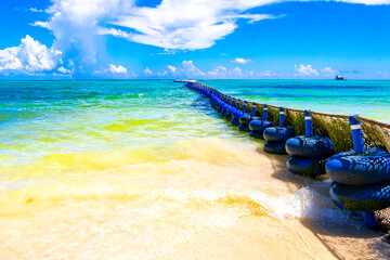 Seaweed Sargazo net caribbean beach water Playa del Carmen Mexico.