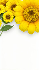 yellow flowers border on white background and copy space, card template
