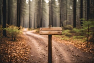 weathered direction wooden signs in the woods 