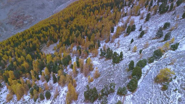 The largest glacier aletschgletscher Ice River in the Swiss Alps