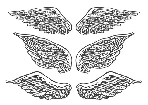 Set of hand drawn pairs of angel or bird wings of different shapes in open position. Vintage vector illustration