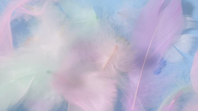 set of pastel feather blowing by wind to show colorful number 2024 isolated on light blue background. Happy New Year 2024 concept