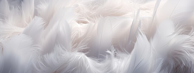white feathers close up of a white fabric - obrazy, fototapety, plakaty
