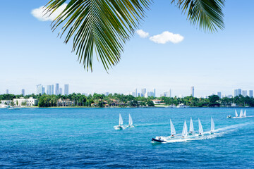 Miami regatta on a sunny day, USA