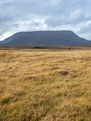 Fototapeta premium The Muckish mountain seen from Glenveagh National Park in County Donegal - Ireland