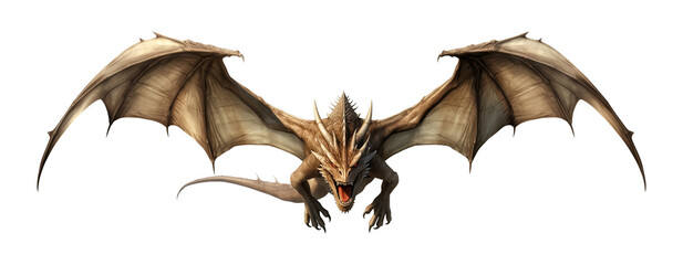 Dragon Flying Front View Isolated on Transparent Background
