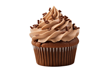Chocolate cupcake with brown frosting and chocolate sprinkles on it