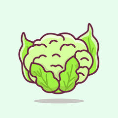 Cauliflower Vegetable Flat Illustration, Vegetable healthy food vector illustration