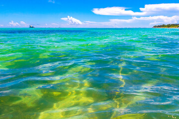 Tropical Caribbean beach clear turquoise water Playa del Carmen Mexico.