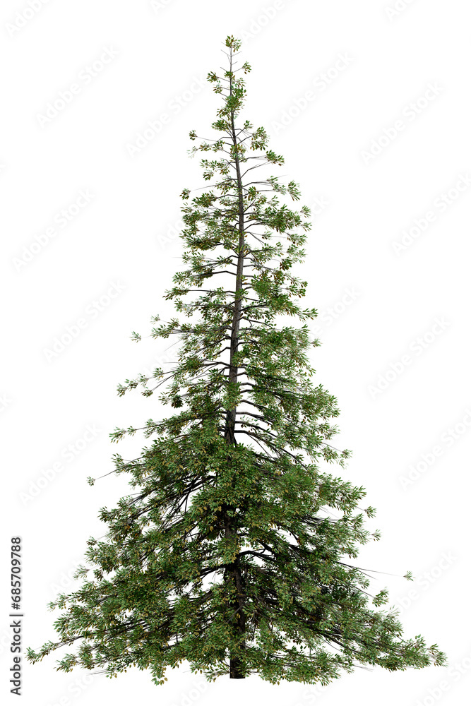 Poster png transparent tree for dragand drop decoration, 3d illustration rendering