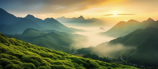 Beautiful sunrise in the mountains nature view from Kolukkumalai Munnar Kerala concept image Copy space image Place for adding text or design - obrazy, fototapety, plakaty