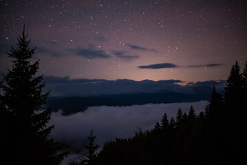 Naklejka premium Night details with the sky full of stars observed from an wild place on Earth. The universe illuminated by infinite brilliance. Meteor showers during the summer