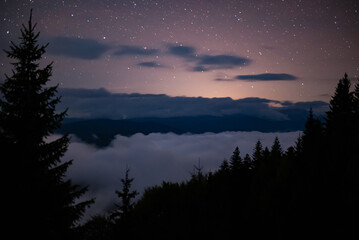 Night details with the sky full of stars observed from an wild place on Earth. The universe illuminated by infinite brilliance. Meteor showers during the summer