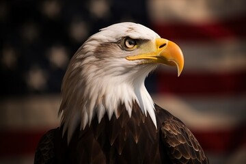 Proud american eagle on american flag background