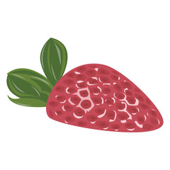 vector cut strawberries that look fresh