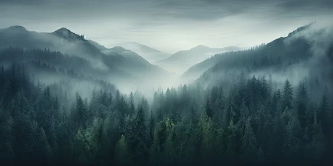 Papier Peint photo Alpes fogy forests and fog with trees and mountains
